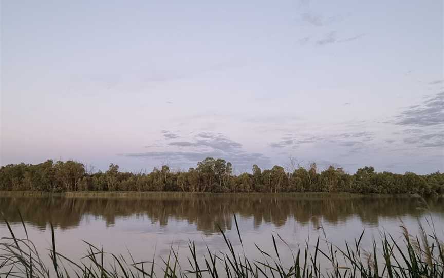 Moorook Game Reserve, Kingston On Murray, SA