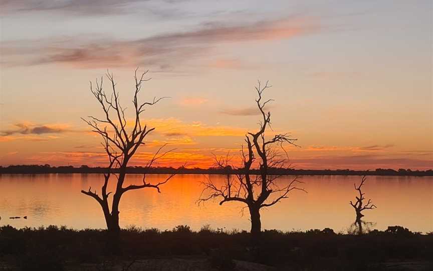 Moorook Game Reserve, Kingston On Murray, SA