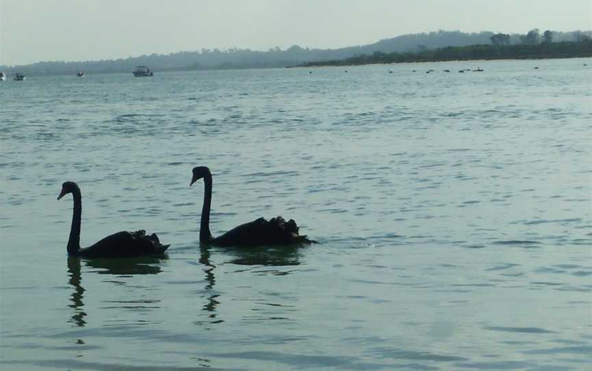 Rigbys Island, Lakes Entrance, VIC