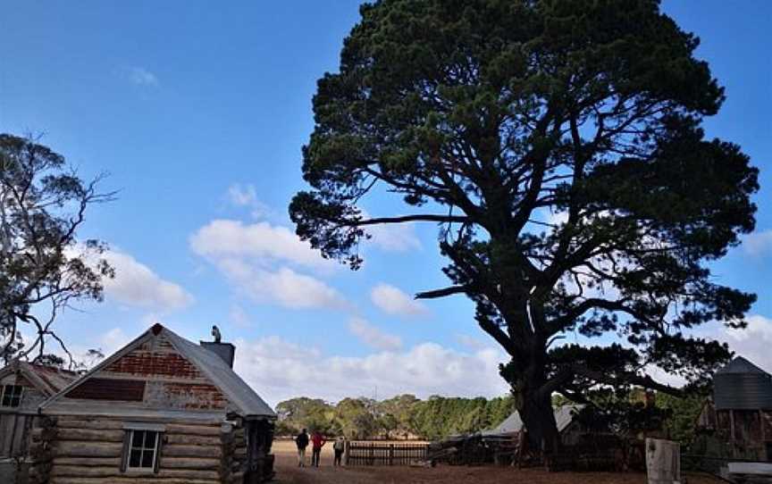 Silver Brumby Trails, Spring Hill, NSW