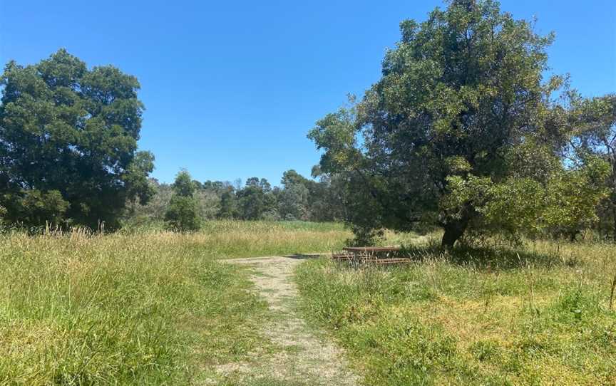 Spadonis Reserve, Yering, VIC