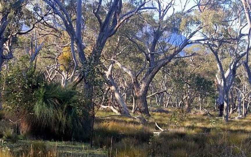 Wartook State Forest, Wartook, VIC