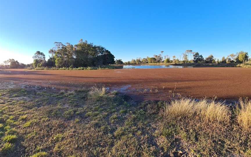 Waterloo Plains Environmental Park, Wandoan, QLD