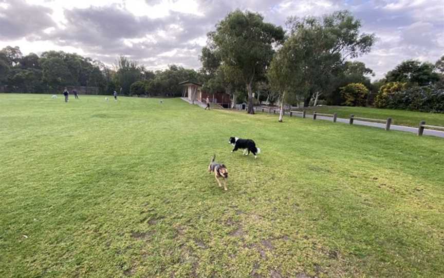 Willison Park, Camberwell, VIC