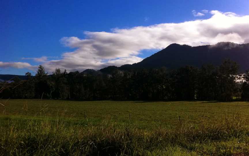 Bellinger River National Park, Dorrigo, NSW