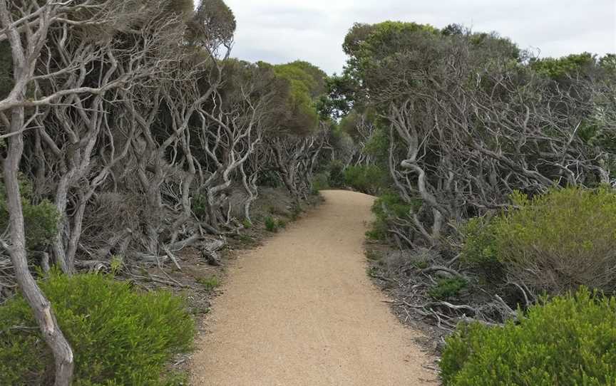 Betka Beach, Mallacoota, VIC