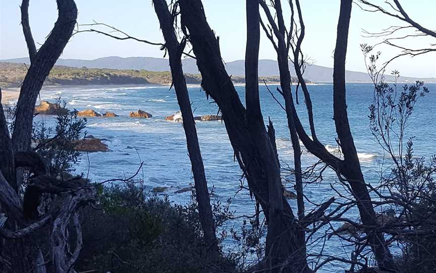 Betka Beach, Mallacoota, VIC