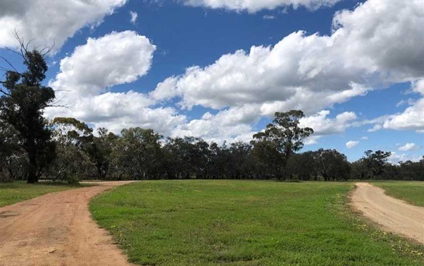 Bogan Weir, Peak Hill, NSW