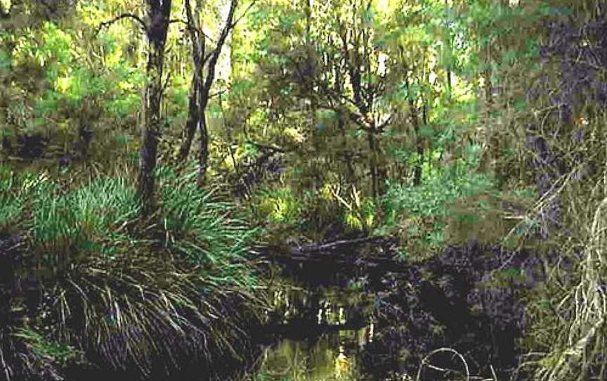 Boorara State Championship MTB Trail, Northcliffe, WA