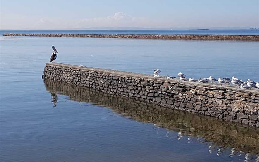 Breakwater Park, Wynnum, QLD