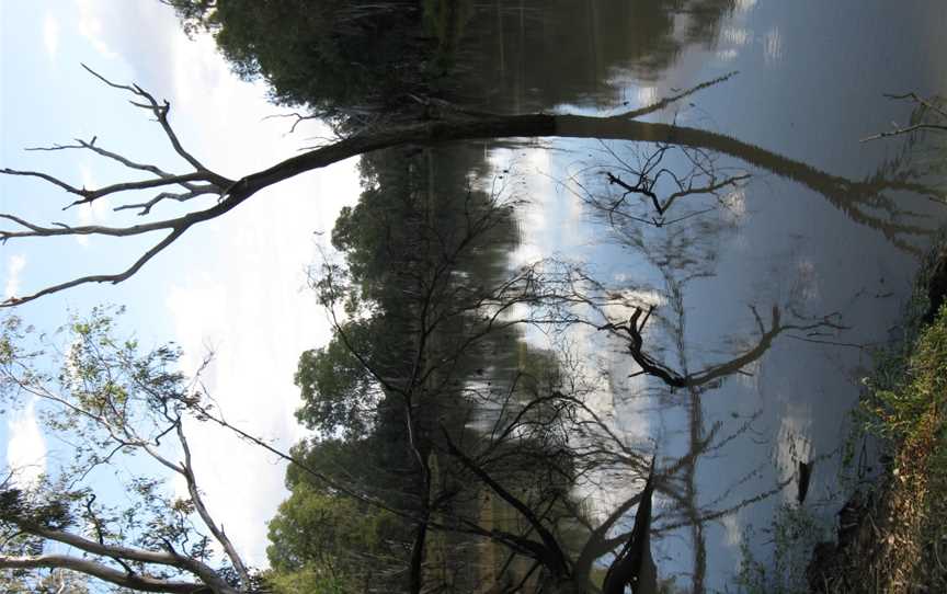 Condamine River, Condamine, QLD