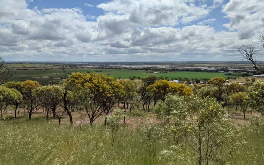 Cunderdin Hill Lookout, Cunderdin, WA