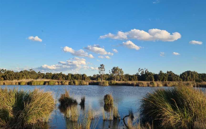 Dandenong Wetlands, Dandenong, VIC