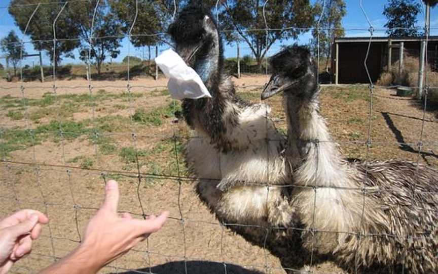 Dundee's Wildlife Park, Murray Bridge, SA