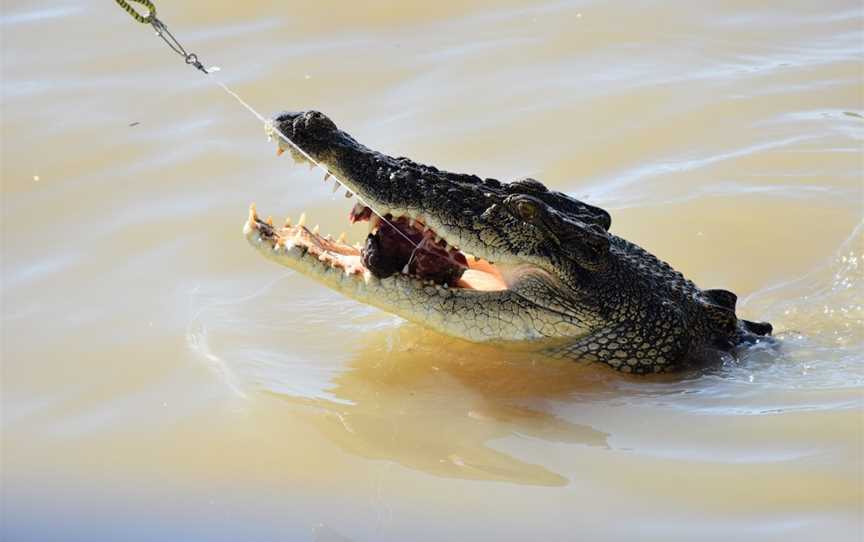 Djukbinj National Park, Marrakai, NT