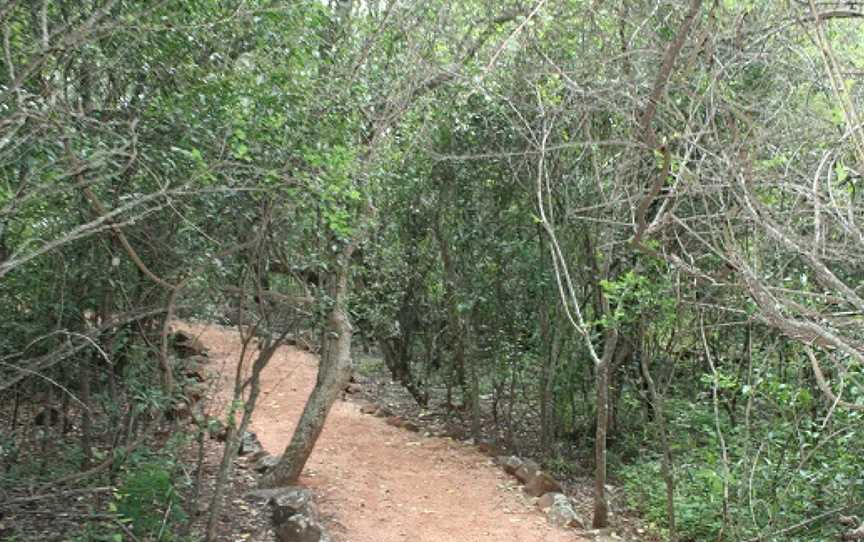 Forty Mile Scrub National Park, Mount Garnet, QLD