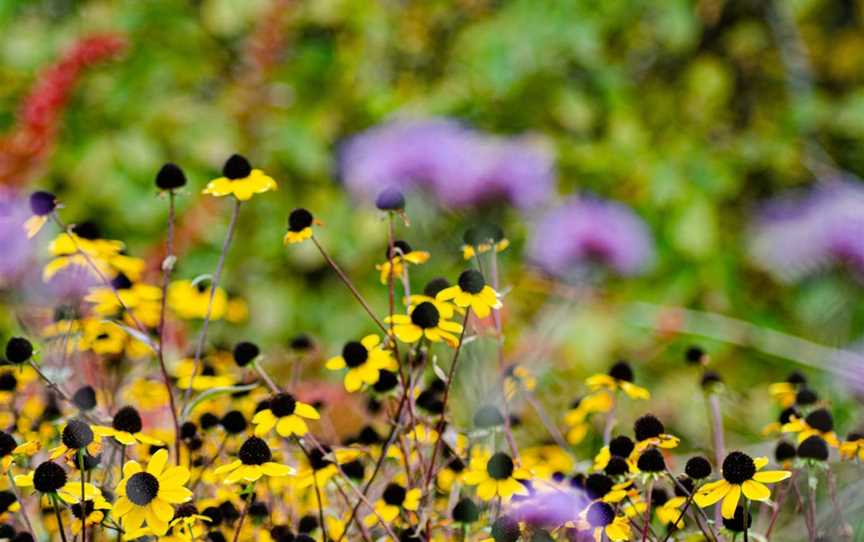 Frogmore Gardens, Newbury, VIC