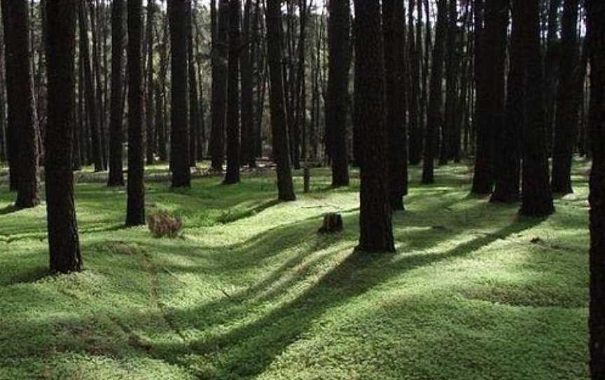 Gooralong Park, Jarrahdale, WA