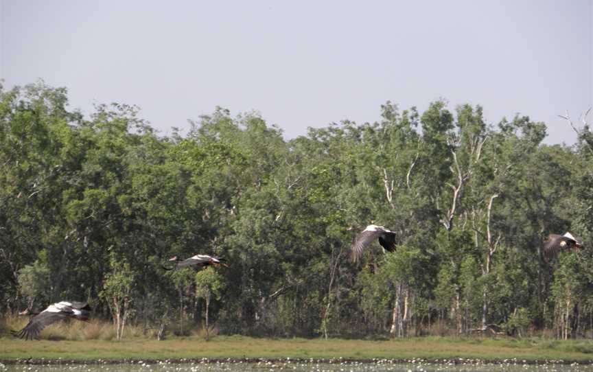 Gungarre Walk, Kakadu, NT