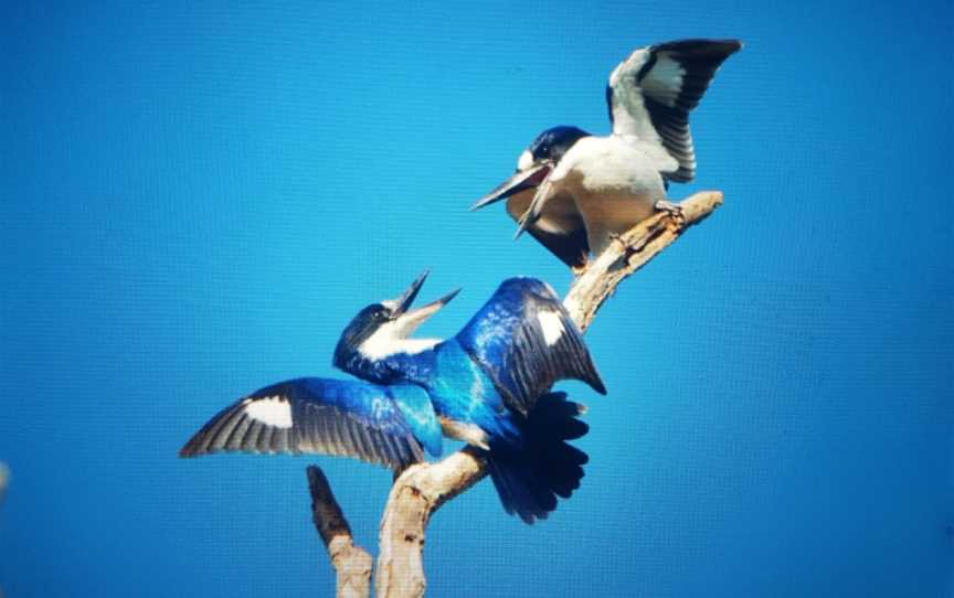 Gungarre Walk, Kakadu, NT