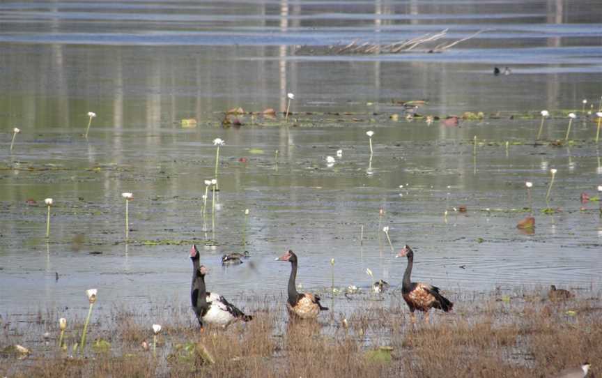 Gungarre Walk, Kakadu, NT