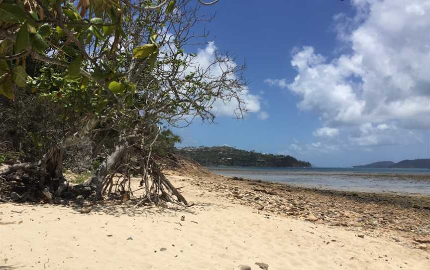 Hideaway Bay, Hamilton Island, QLD