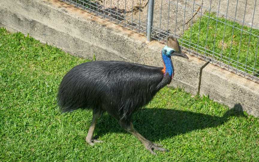 Moresby Range National Park, Innisfail, QLD