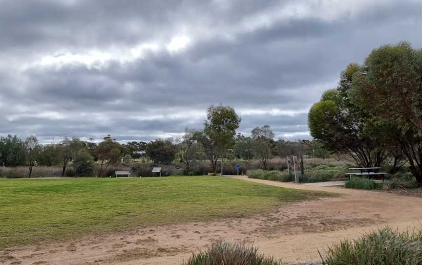 Pinnaroo Wetlands, Pinnaroo, SA