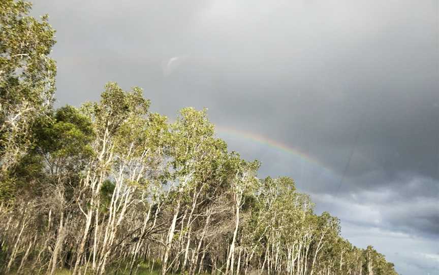 Poona National Park, Boonooroo, QLD