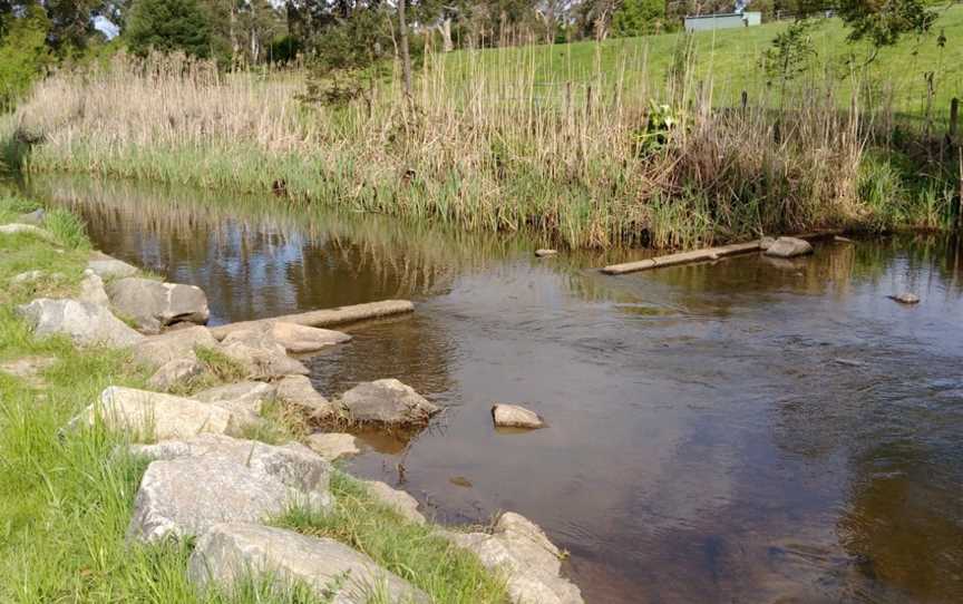 Robin Hood Reserve, Drouin, VIC