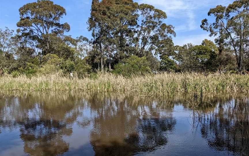 Shaxton Reserve, Frankston, VIC