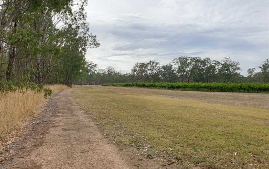 Tahbilk Wetlands And Wildlife Reserve, Nagambie, VIC