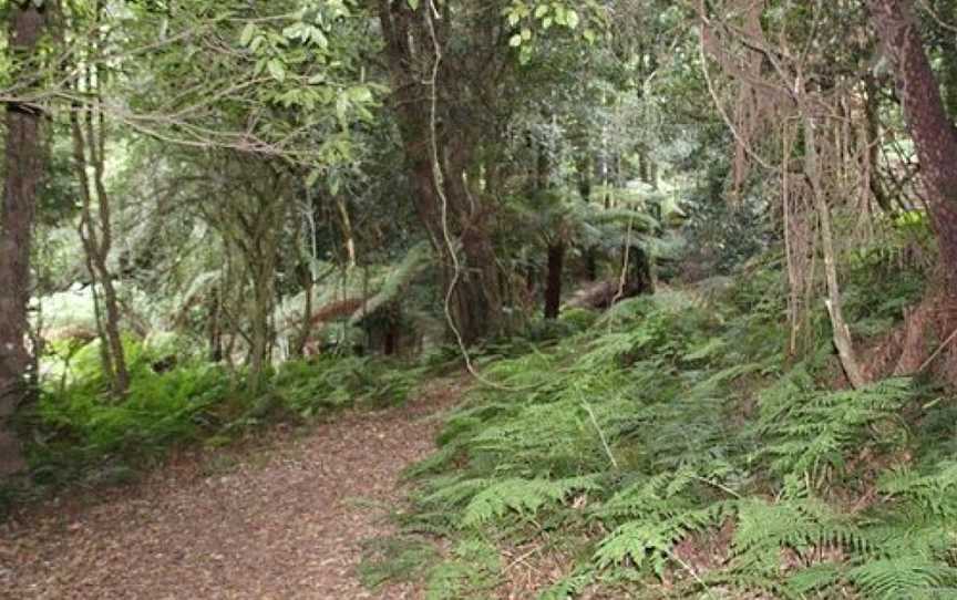 The Lady Nancy Fairfax Walk, Mount Tomah, NSW