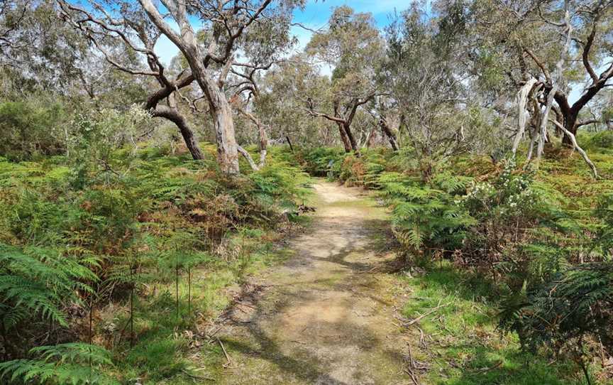 Woodlot Lane Nature Reserve, Tooradin, VIC