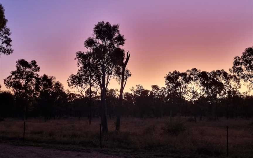 Blackwood National Park, Scarborough, QLD