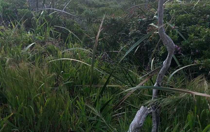 Boodjidup Creek Walk, Gnarabup, WA