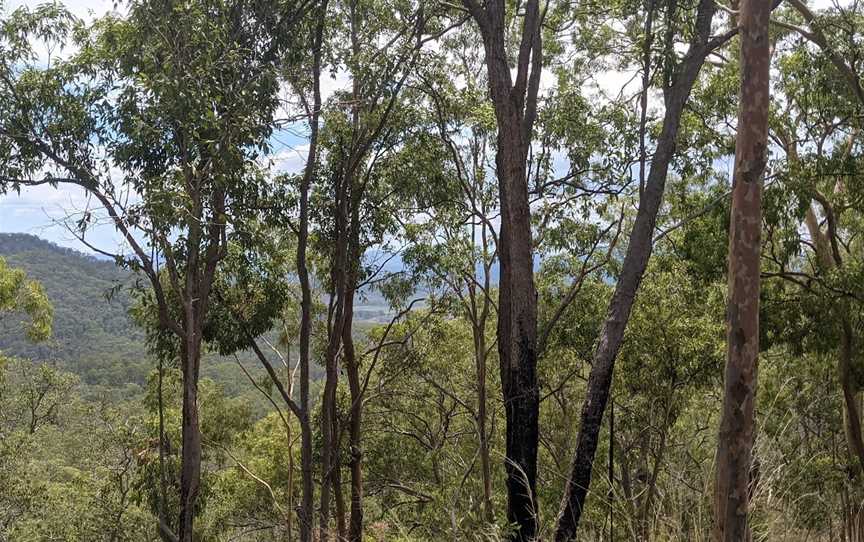 Bulburin National Park, Bundaberg, QLD