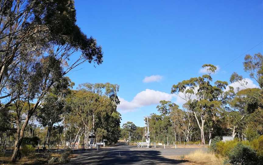 Clunes Bushland Reserve, Clunes, VIC