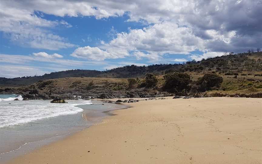 Cressy Beach Conservation Area, Swansea, TAS