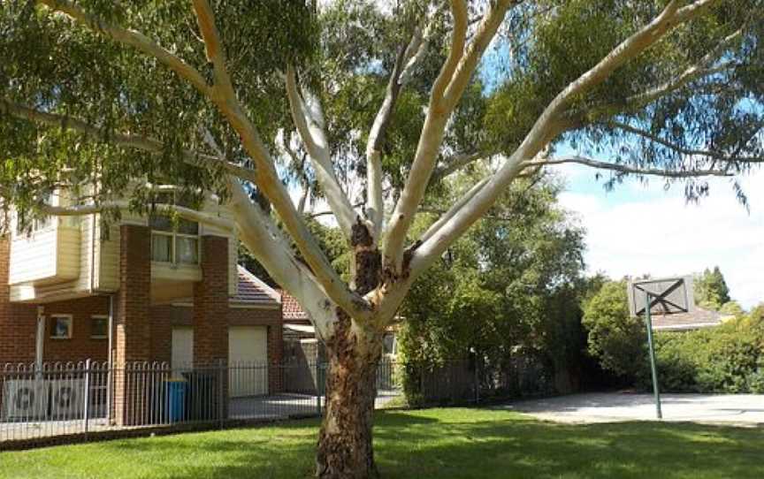 Dean Avenue Reserve, Hawthorn, VIC