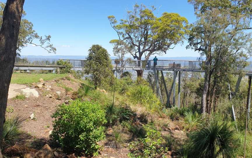 Fraser Park Lookout, Mount Archer, QLD