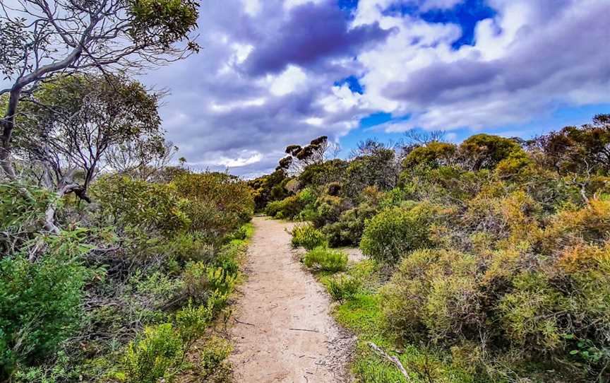 Gym Beach, Marion Bay, SA