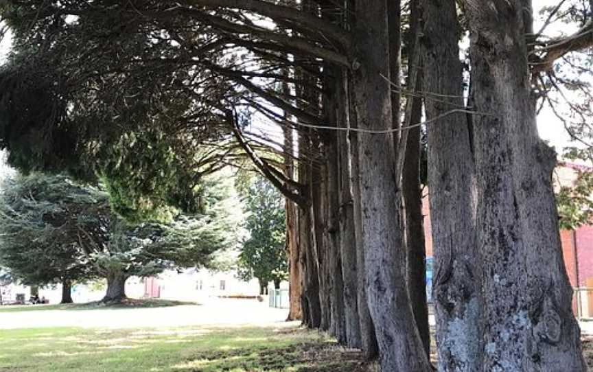 King George V Park, Sheffield, TAS