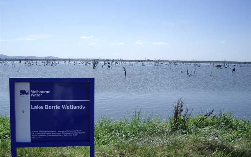 Lake Borrie Wetlands, Little River, VIC