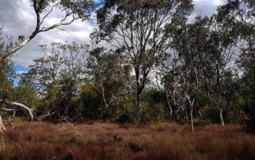 Lake Coleman State Game Reserve, Golden Beach, VIC