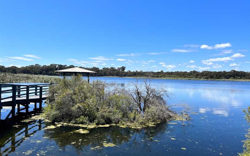 Lake Gwelup Reserve, Gwelup, WA