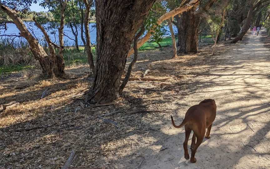 Lake Gwelup Reserve, Gwelup, WA