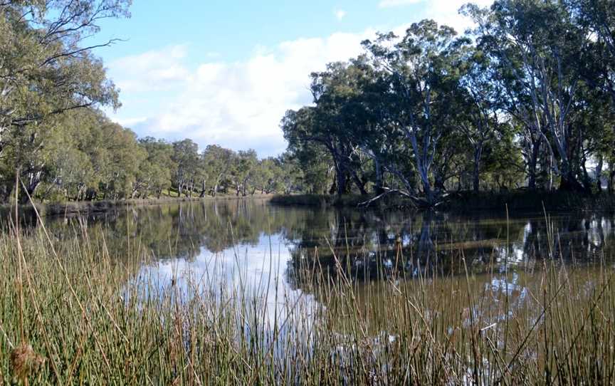 Lake Moodemere, Rutherglen, VIC