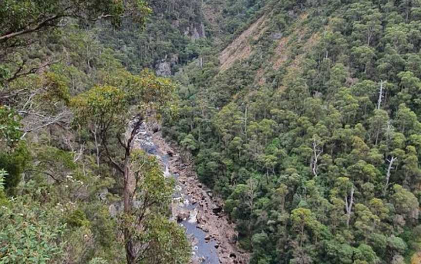 Leven Canyon Lookout, Nietta, TAS