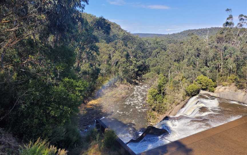 Moondarra Reservoir, Erica, VIC